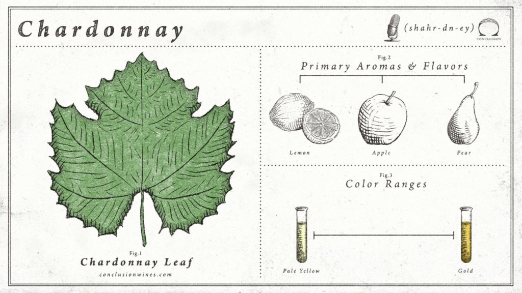 a-quick-guide-to-chardonnay-conclusion-wines