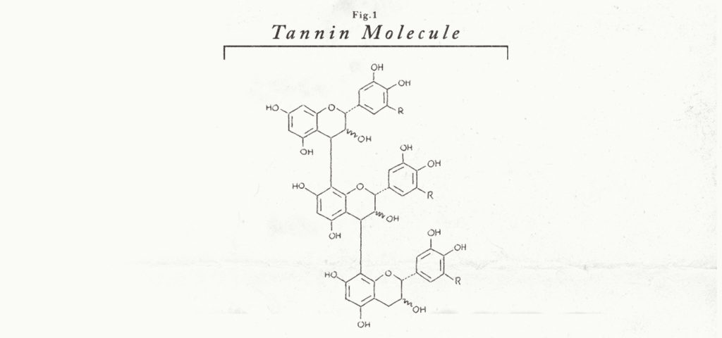 Understanding Tannins In Wine – Conclusion Wines